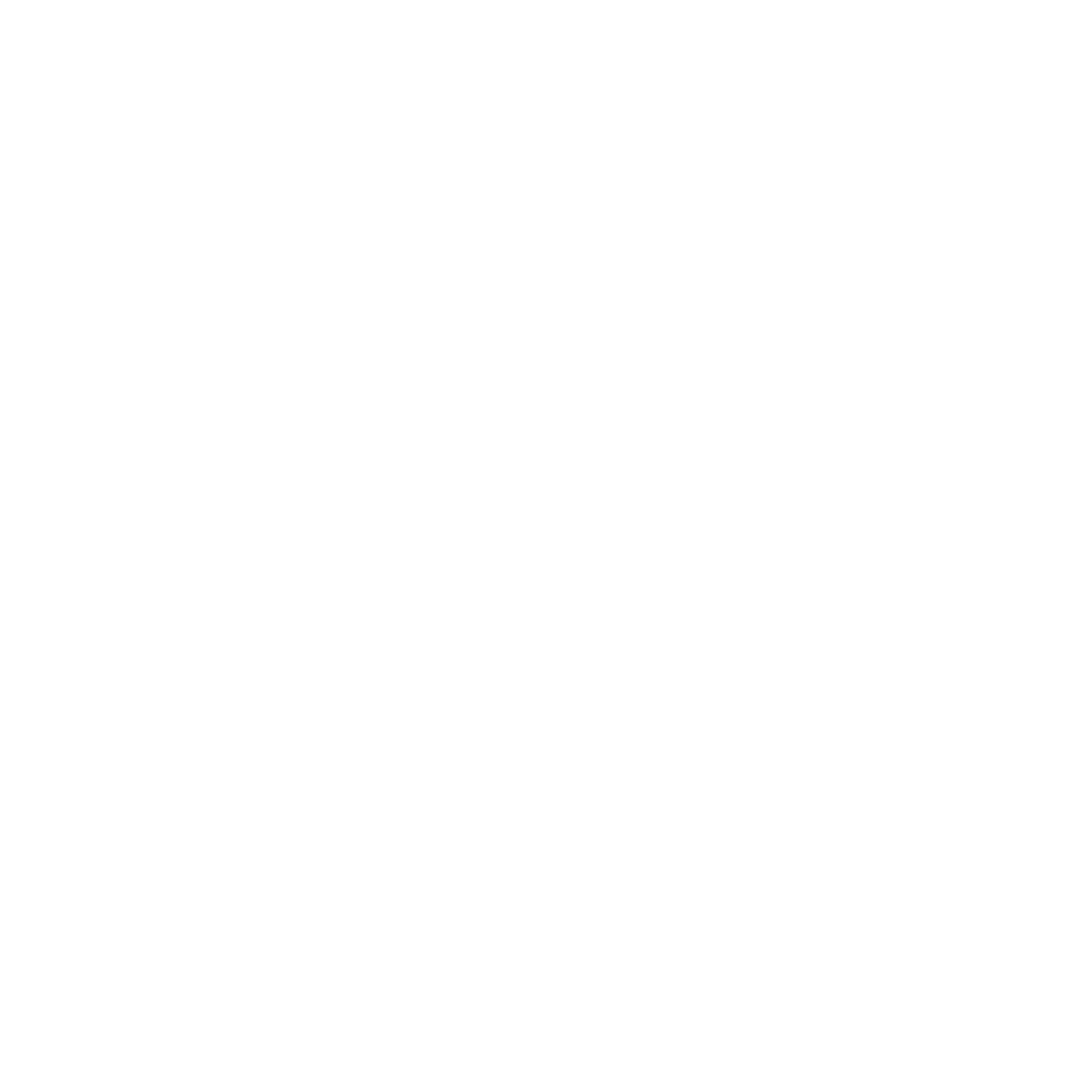 Stoik Sports logo